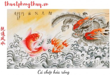 5 điều cần biết về phong thủy năm 2025 để cuộc sống viên mãn