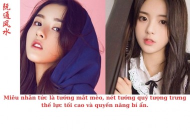 Bí ẩn tướng số: Khám phá vận mệnh qua khuôn mặt