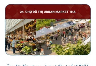 Cách chọn vợ/chồng hợp mệnh theo Đông Tứ Trạch và Cung Sanh Hiệp Hôn Biểu