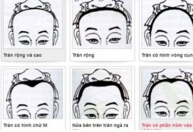 Cơ thể nói lên điều gì? Giải mã tướng cổ, lưng, ngực, bụng để có cuộc sống khỏe mạnh và thành công