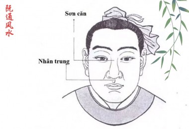 Giải mã bí ẩn tướng tai: Nhận biết vận mệnh qua đôi tai