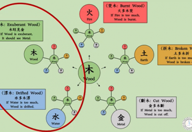 Giải Mã Năng Lượng Hổ Trợ: Khám Phá Yếu Tố Quan Trọng Trong Bazi Và Ý Nghĩa Tác Động Của Nó