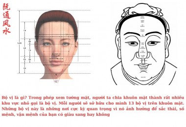 khám phá bí ẩn vận mệnh qua khuôn mặt: giới thiệu toàn diện về xem tướng