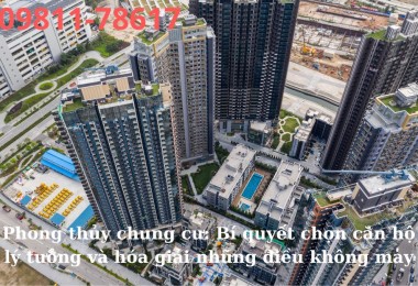 Khám phá thế giới của người mệnh Hắc Đế: Tính cách, tài năng và vận mệnh