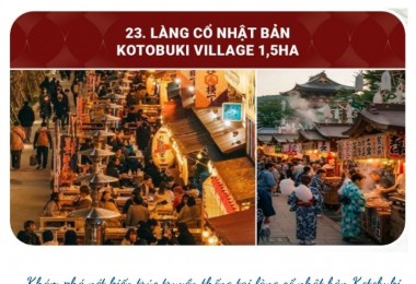 Người tuổi Hợi: Khám phá tiềm năng sáng tạo và con đường sự nghiệp