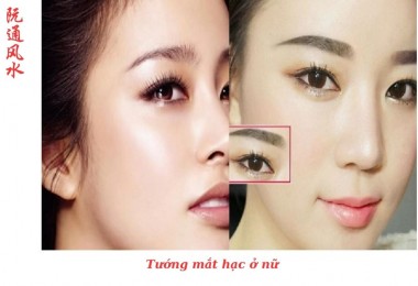 Nhân tướng học - khám phá bí ẩn về con người qua khuôn mặt
