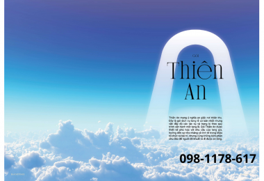 Tai nạn máy bay kinh hoàng tại Hàn Quốc: Gần 180 người thiệt mạng