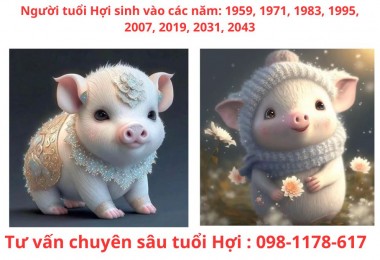 Tuổi Hợi: Bí quyết thành công của người thẳng thắng và thoải mái