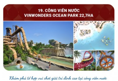 Tuổi Ngọ: Bí quyết thành công của người Ngọ, phát huy năng động, nhiệt huyết để thành công