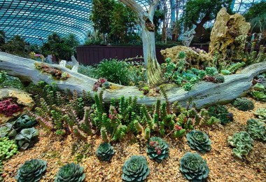 Tuổi Tý: Hôn nhân, sự nghiệp và sức khỏe - Những điều cần biết