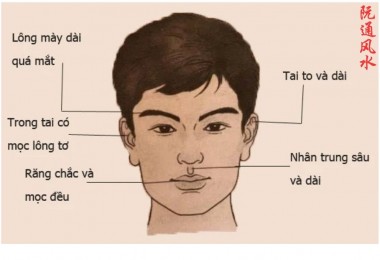 Xem tướng ngũ quan: Đọc vị vận mệnh qua 5 bộ phận trên khuôn mặt