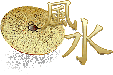 Tư vấn cải vận